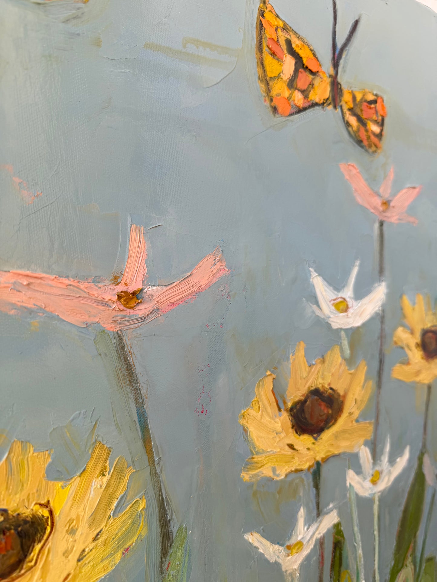 Butterfly Season