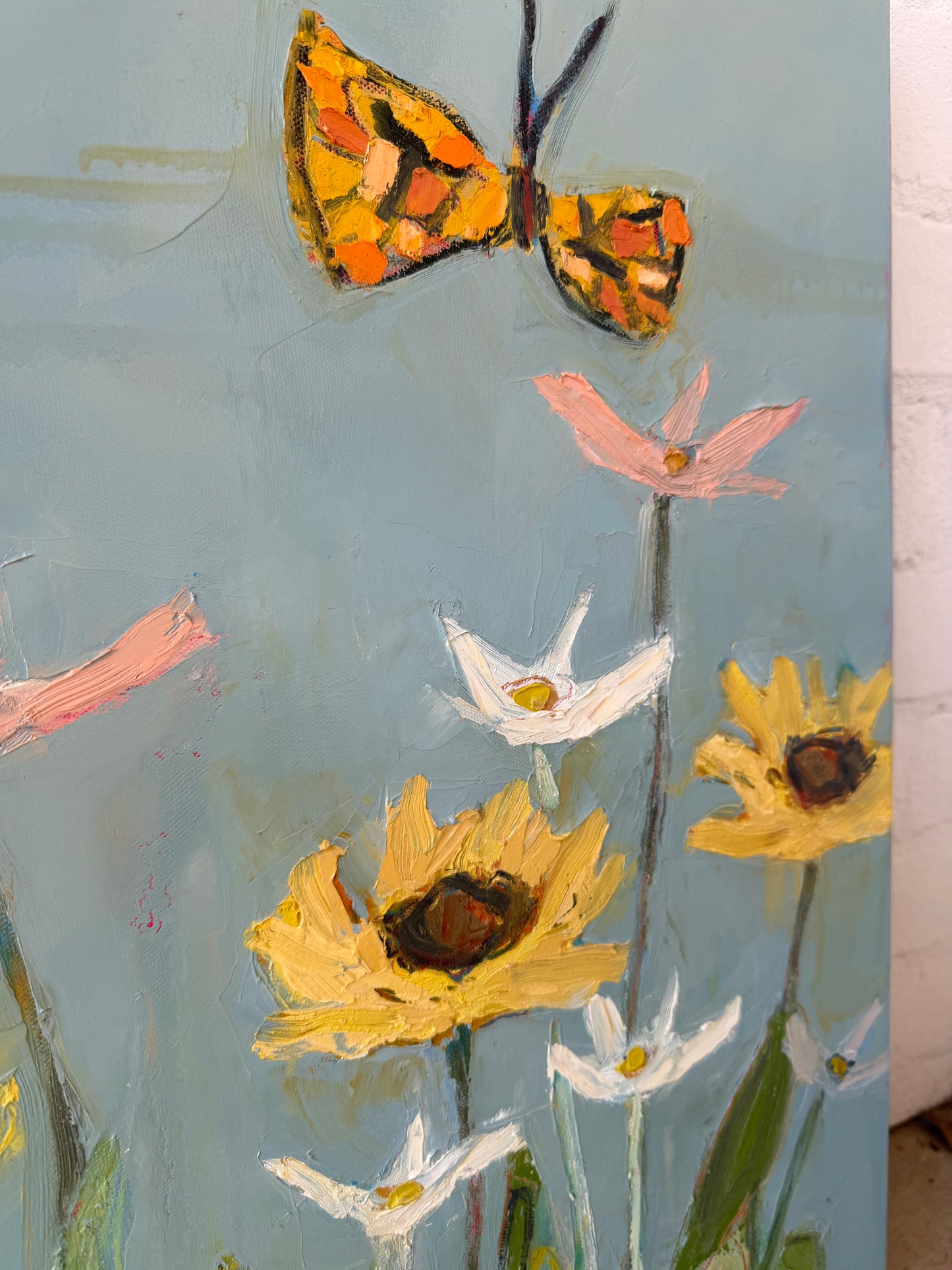 Butterfly Season